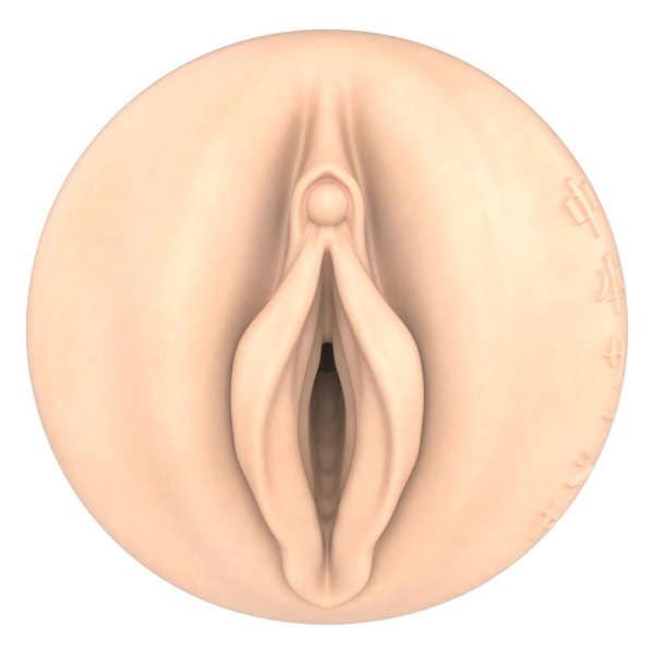 Мастурбатор Fleshlight Fantasy Sasha Nakamoto Ecchi, очень нежный, канал-тентакли