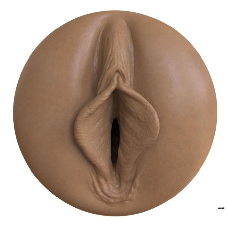 Мастурбатор-вагина Fleshlight Boost Bang Medium Dark Flesh, плавающие кольца Turbo Tech || Мастурбатор-вагіна Fleshlight Boost Bang Medium Dark Flesh, плаваючі кільця Turbo Tech